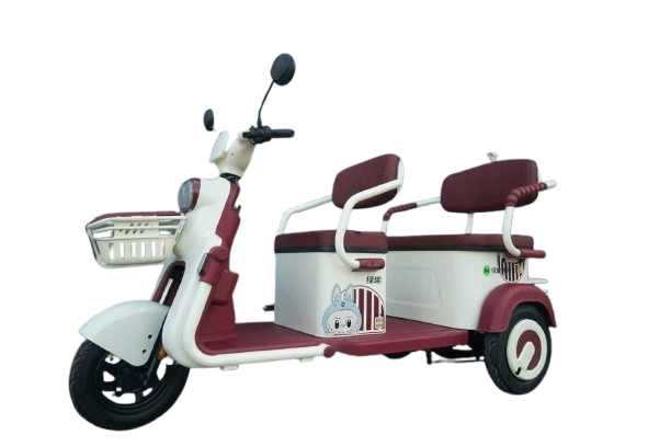 WhatsApp_Image_2026-01-26_at_8.25.17_PM-removebg-preview (1)